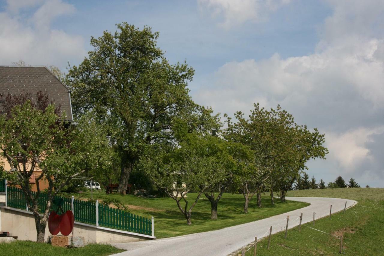 Bauernhof Hoenigshof Fischbach Zewnętrze zdjęcie